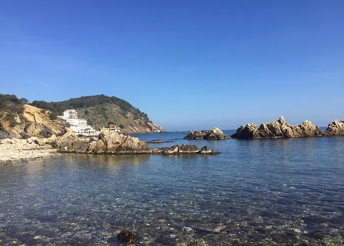 Ample Port Marina * Palamos