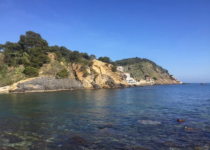 Ample Port Marina Palamós